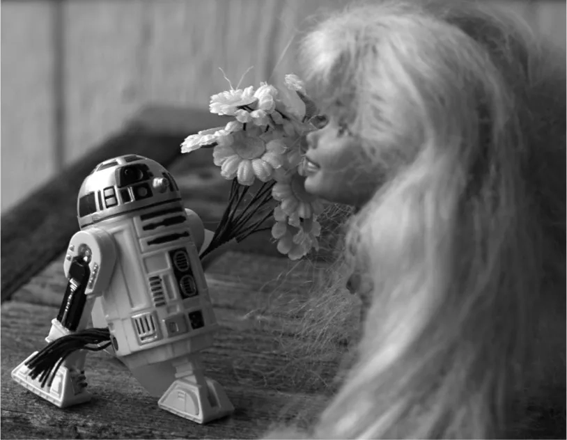 L'uso ludico di Barbie in Flickr: 