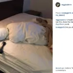 #AprilFools: Pesce d'Aprile su Instagram