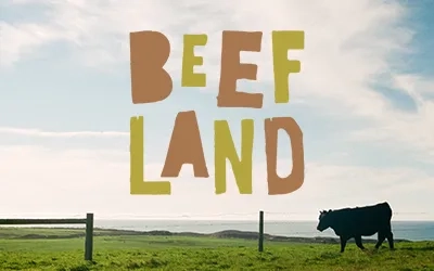 Brand identity per macellerie - Il macellaio professionista Walter Pierucci ha aperto una nuova attività: 