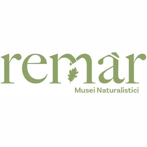 Logo Remàr